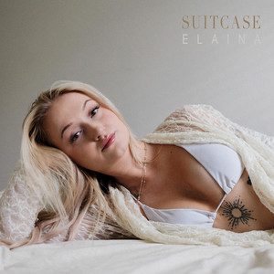 Suitcase cover artwork